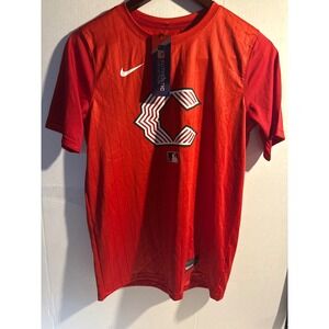 Nike Kids Cincinnati Reds MLB Authentic Collection Dri-FIT Legend T Red L 14-16